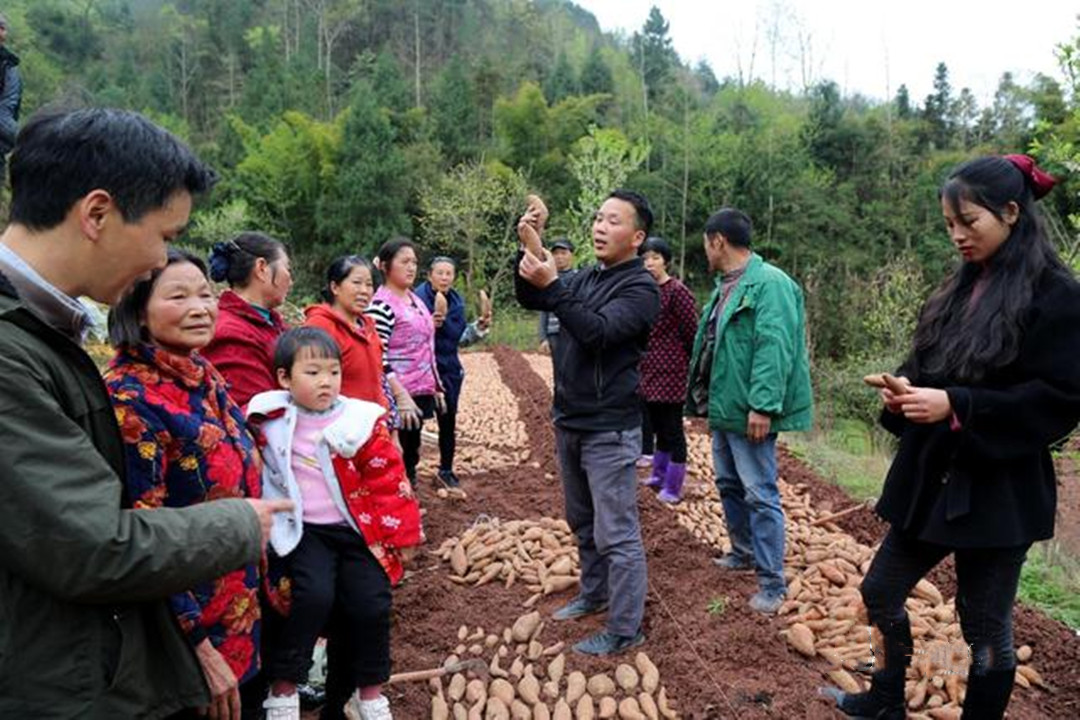 1657683910279964.jpg 1657683717078.jpg