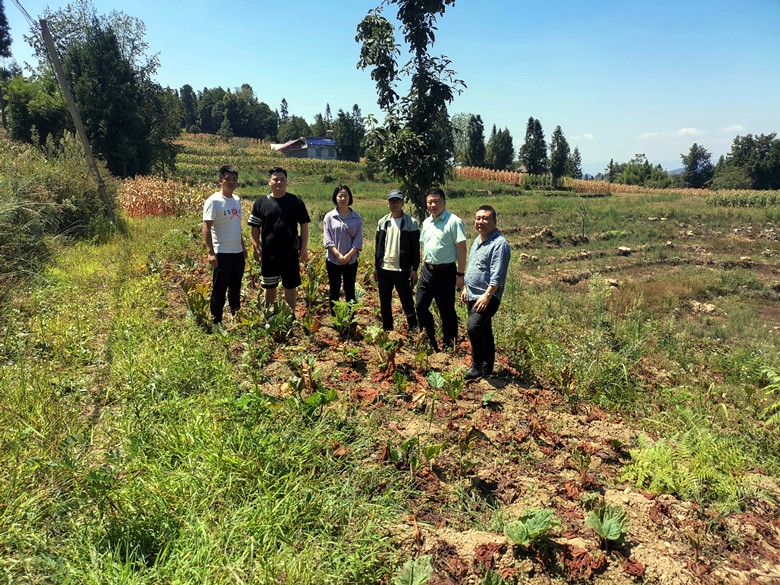 1662303178845402.jpg 3.jpg