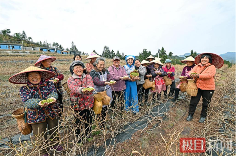 1757297885975286.png 图片4.png